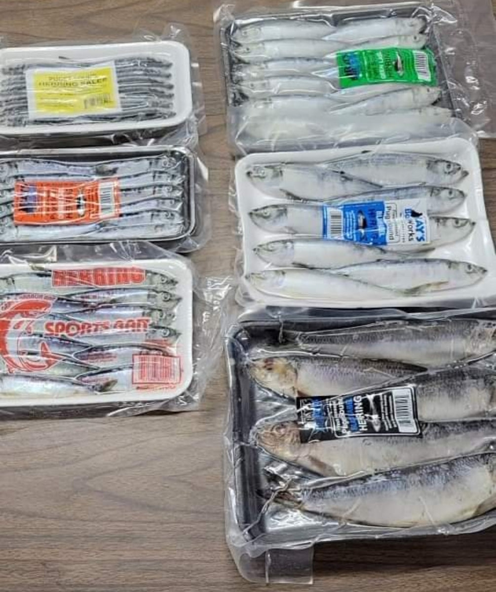 Frozen Herring for Sale Leech Freak Bait & Tackle
