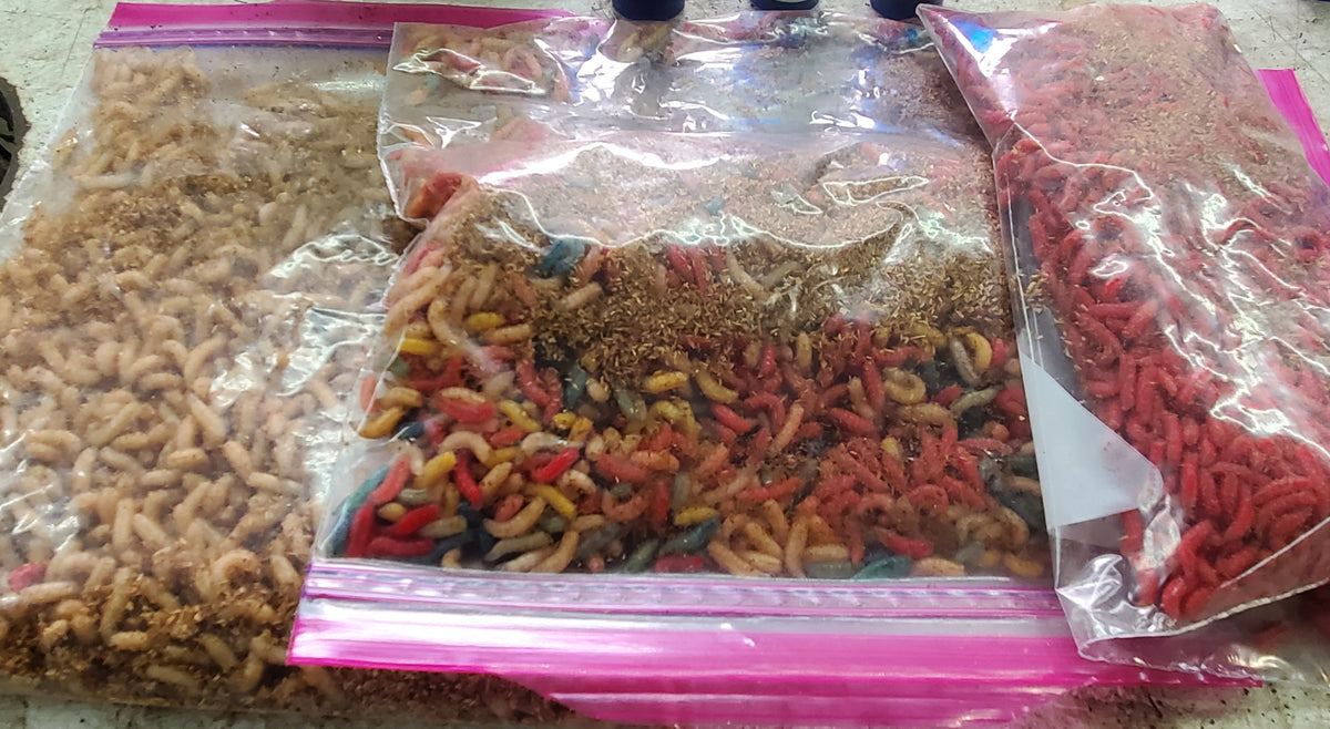 Products Leech Freak Bait & Tackle